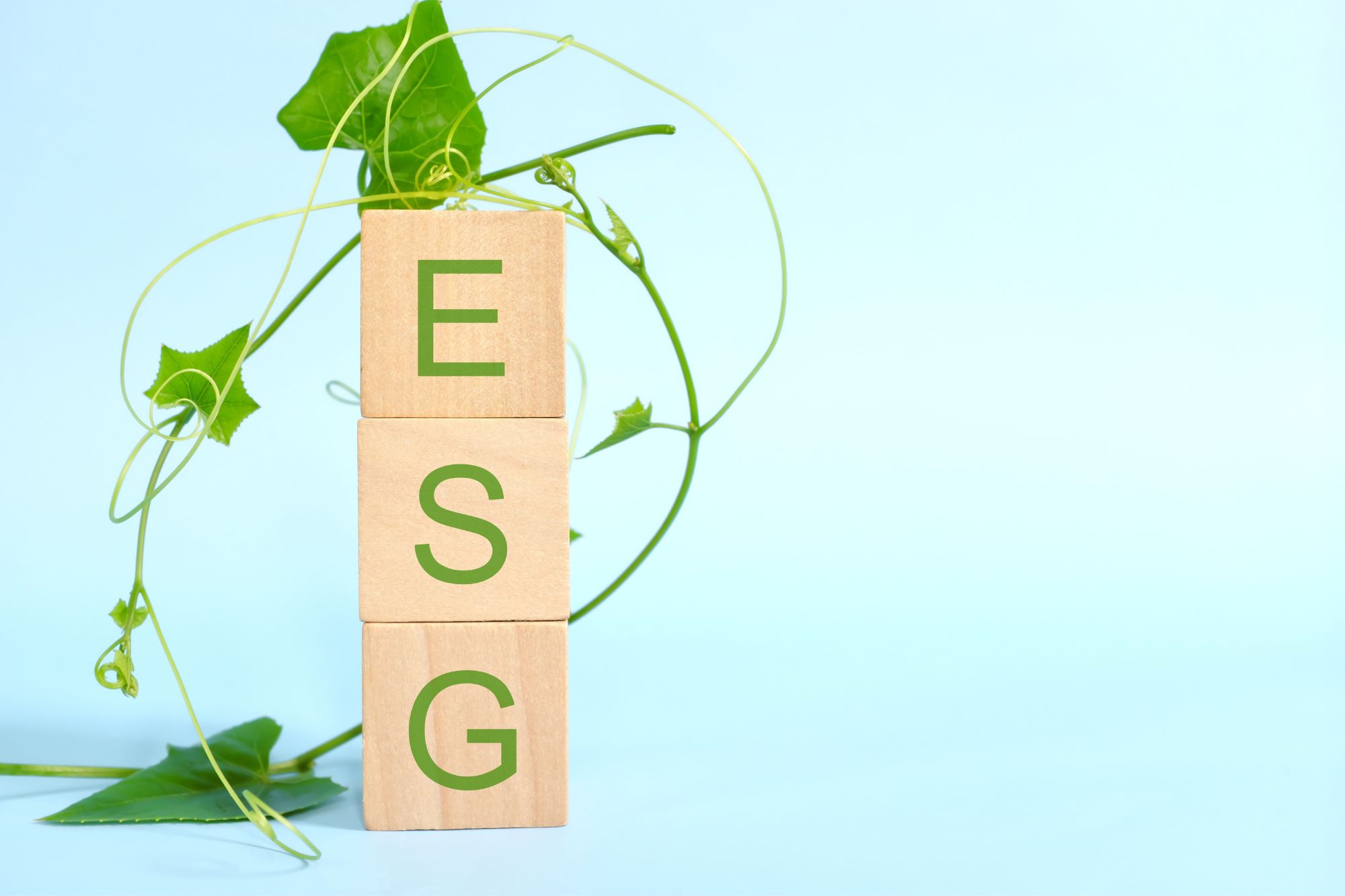 Managing ESG Opportunities and Challenges
