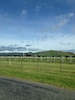 vineyard vineyard